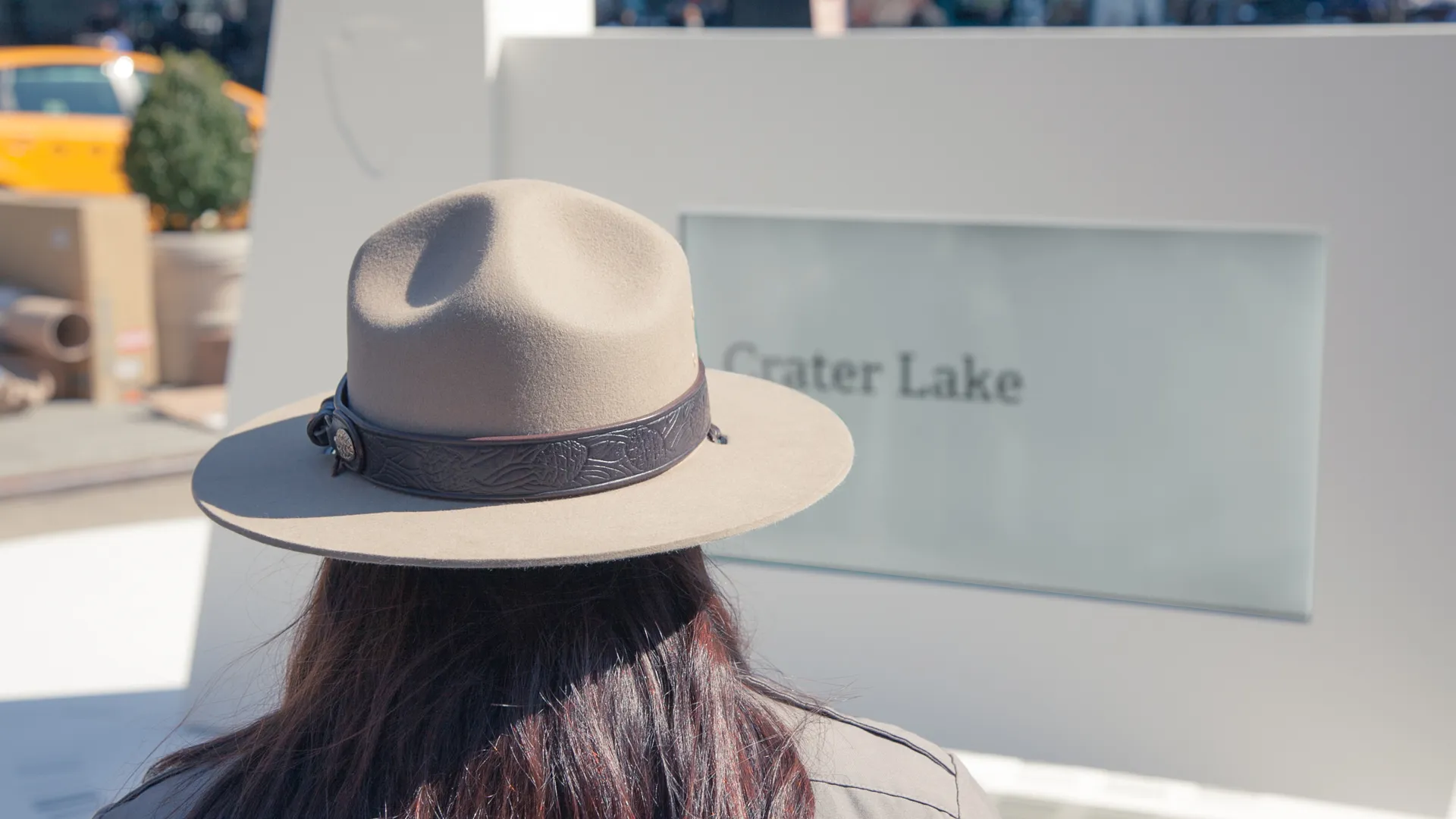 Park Finder - park ranger hat detail